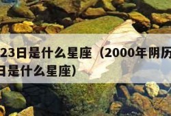 4月23日是什么星座（2000年阴历4月23日是什么星座）