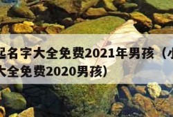 小孩起名字大全免费2021年男孩（小孩起名字大全免费2020男孩）