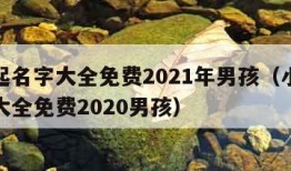 小孩起名字大全免费2021年男孩（小孩起名字大全免费2020男孩）