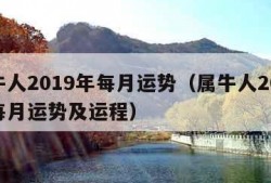 属牛人2019年每月运势（属牛人2019年每月运势及运程）