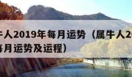 属牛人2019年每月运势（属牛人2019年每月运势及运程）