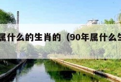 90年属什么的生肖的（90年属什么生肖的属性）