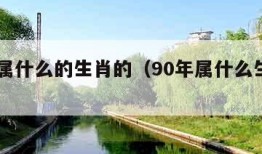 90年属什么的生肖的（90年属什么生肖的属性）