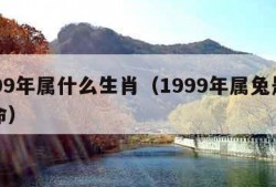 1999年属什么生肖（1999年属兔是什么命）