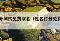 姓名打分测试免费取名（姓名打分免费测试网）