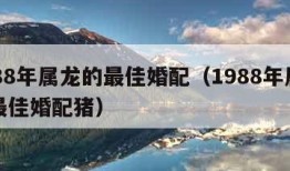 1988年属龙的最佳婚配（1988年属龙的最佳婚配猪）