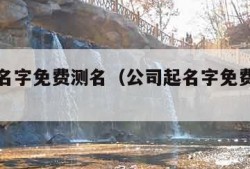 公司起名字免费测名（公司起名字免费测名网）