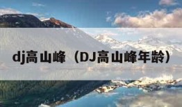 dj高山峰（DJ高山峰年龄）