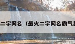 最火二字网名（最火二字网名霸气男生）