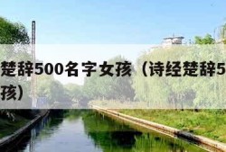 诗经楚辞500名字女孩（诗经楚辞500名字男孩）