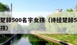 诗经楚辞500名字女孩（诗经楚辞500名字男孩）