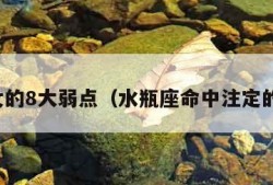 水瓶女的8大弱点（水瓶座命中注定的情人）