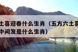 五方六土喜迎春什么生肖（五方六土喜迎春红波定在中间发是什么生肖）