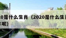 2020是什么生肖（2020是什么生肖本命年呢）