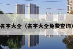 名字大全（名字大全免费查询）