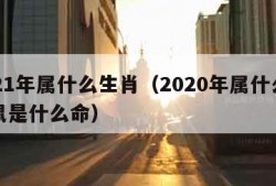 2021年属什么生肖（2020年属什么生肖鼠是什么命）