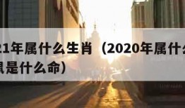 2021年属什么生肖（2020年属什么生肖鼠是什么命）