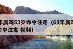 69年属鸡53岁命中注定（69年属鸡53岁命中注定 视频）