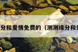 算缘分和爱情免费的（测测缘分和爱情）