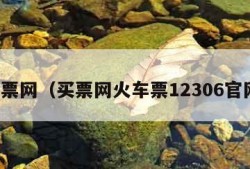 买票网（买票网火车票12306官网）