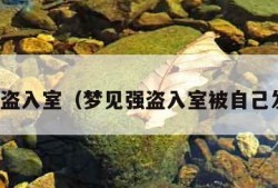 梦见强盗入室（梦见强盗入室被自己发现了）