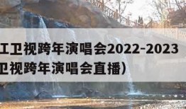 浙江卫视跨年演唱会2022-2023（浙江卫视跨年演唱会直播）