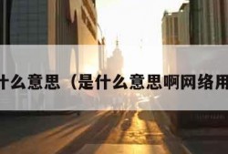 是什么意思（是什么意思啊网络用语）