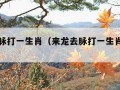 来龙去脉打一生肖（来龙去脉打一生肖四个数字）