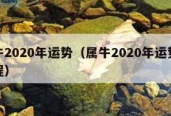 属牛2020年运势（属牛2020年运势及运程）