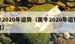 属牛2020年运势（属牛2020年运势及运程）