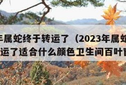 2023年属蛇终于转运了（2023年属蛇终于转运了适合什么颜色卫生间百叶窗窗帘）