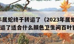 2023年属蛇终于转运了（2023年属蛇终于转运了适合什么颜色卫生间百叶窗窗帘）