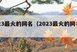 2023最火的网名（2023最火的网名男）