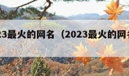 2023最火的网名（2023最火的网名男）