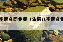 生辰八字起名网免费（生辰八字起名免费取名改名）