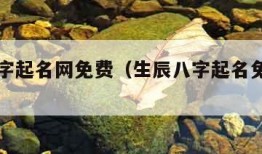 生辰八字起名网免费（生辰八字起名免费取名改名）