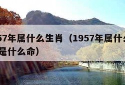 1957年属什么生肖（1957年属什么生肖,是什么命）