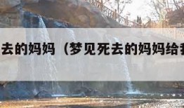 梦见死去的妈妈（梦见死去的妈妈给我钱,我要了）